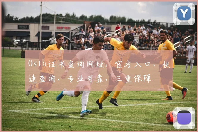 Osta证书查询网址，官方入口，快速查询，专业可靠，三重保障