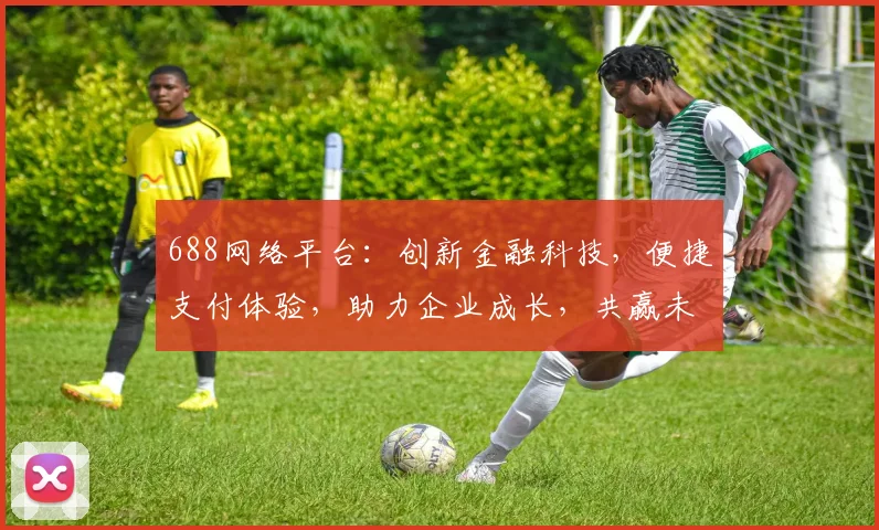 688网络平台：创新金融科技，便捷支付体验，助力企业成长，共赢未来三步曲