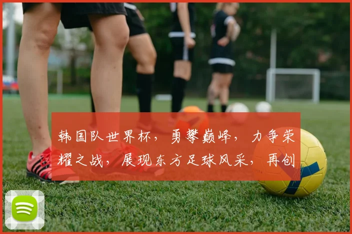 韩国队世界杯，勇攀巅峰，力争荣耀之战，展现东方足球风采，再创佳绩