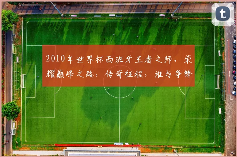 2010年世界杯西班牙王者之师，荣耀巅峰之路，传奇征程，谁与争锋