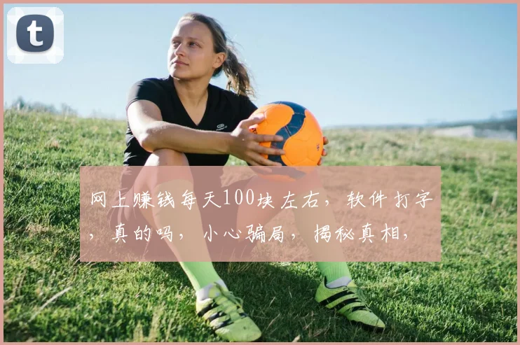 网上赚钱每天100块左右，软件打字，真的吗，小心骗局，揭秘真相，靠谱吗