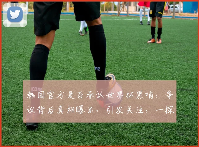 韩国官方是否承认世界杯黑哨，争议背后真相曝光，引发关注，一探究竟
